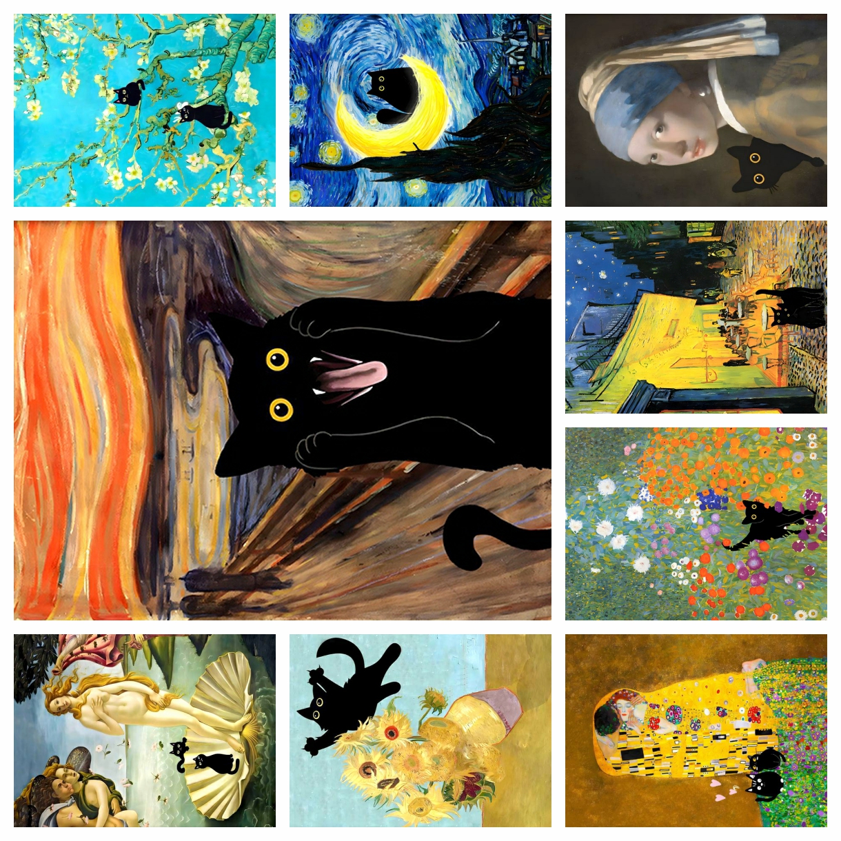 Embroidery Canvas - 5D Diamond Painting Funny Cute Black